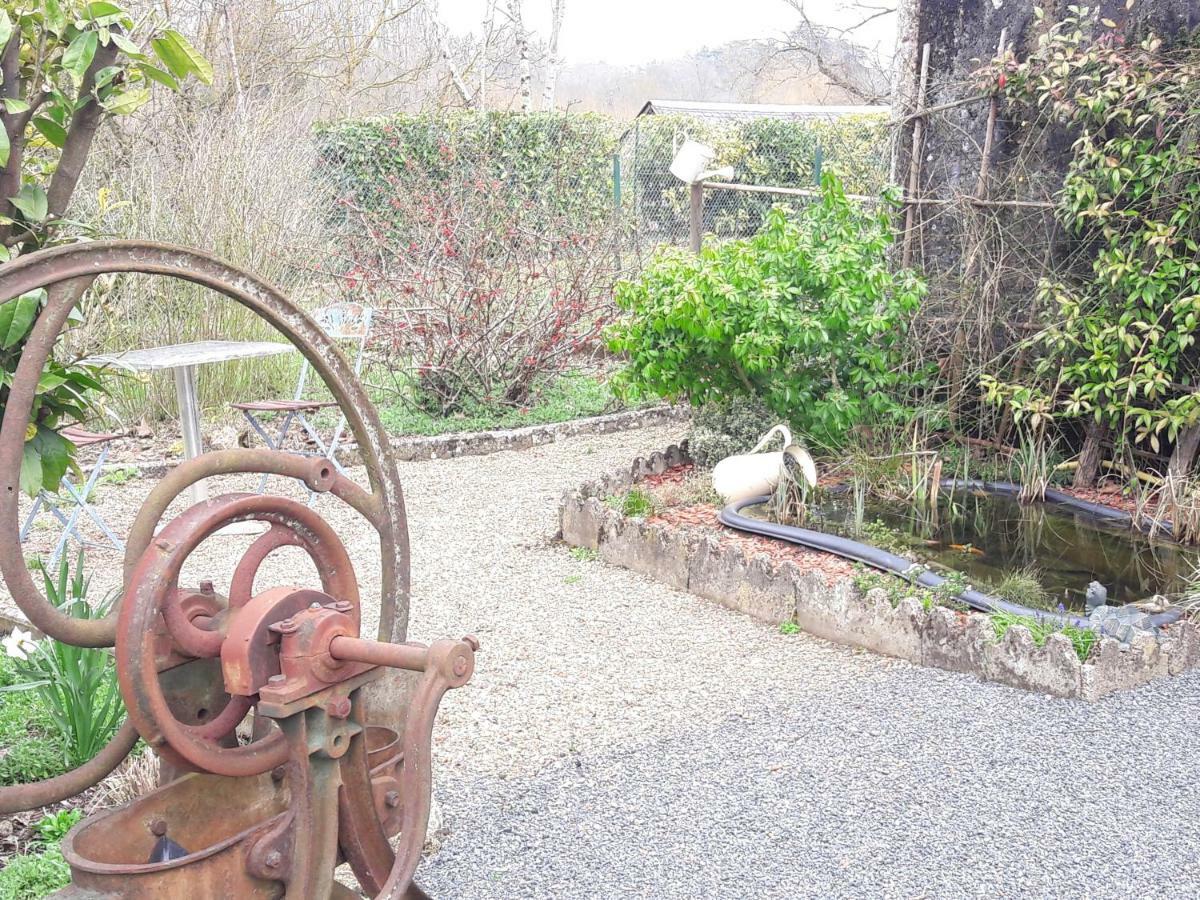 Chambres D'Hotes Le Clos De La Touche Cheillé Eksteriør bilde